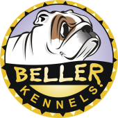 Beller Kennel - Bullmastiff